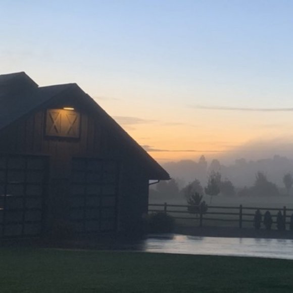 SHIPPING DAILY FROM OUR SMALL COUNTRY STUDIO! - Picture 2 of 3